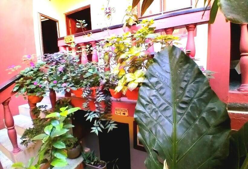 تختخواب و صبحانه Rosalila