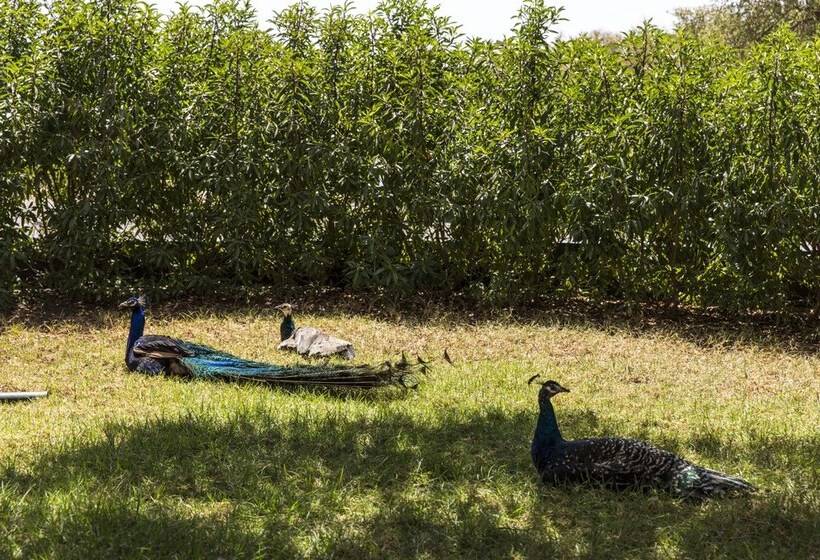 بنسيون Riad Les Trois Merveilles