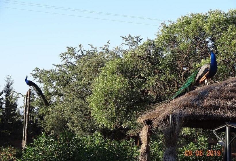 بنسيون Riad Les Trois Merveilles