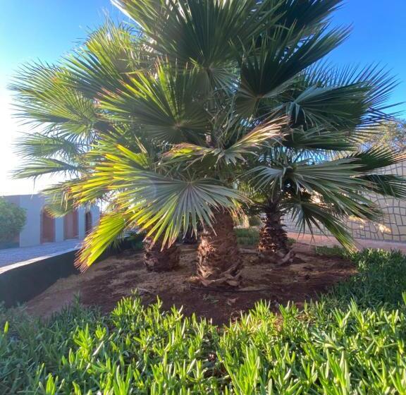 بنسيون Riad Les Trois Merveilles