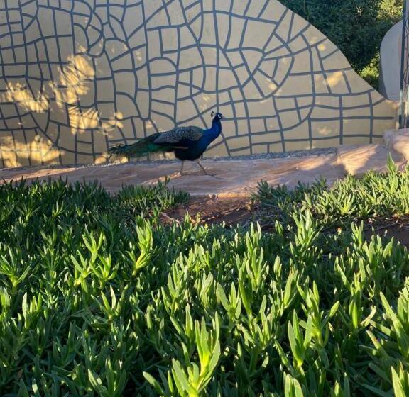 بنسيون Riad Les Trois Merveilles