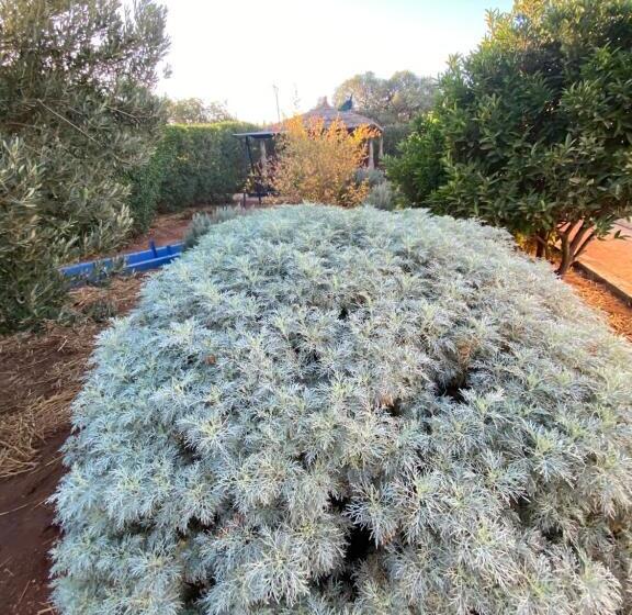 بنسيون Riad Les Trois Merveilles