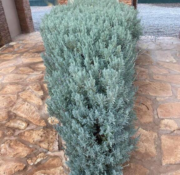 بنسيون Riad Les Trois Merveilles