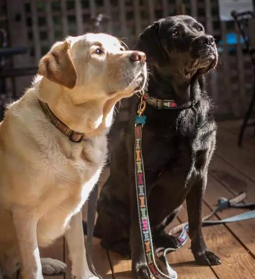 هتل Carmel Country Inn