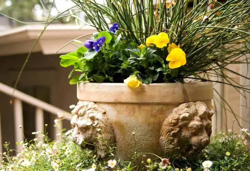 هتل Carmel Country Inn