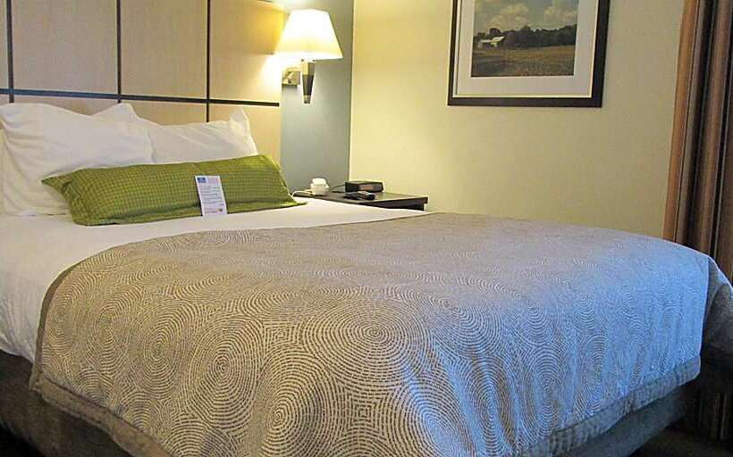 호텔 Sonesta Simply Suites Detroit Troy