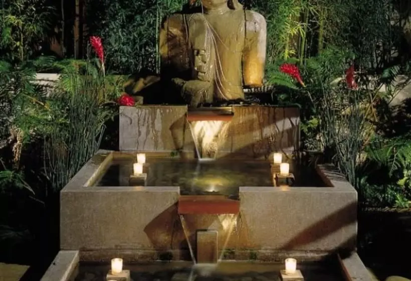 هتل Tradewinds Carmel