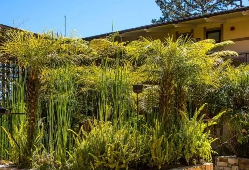 هتل Tradewinds Carmel