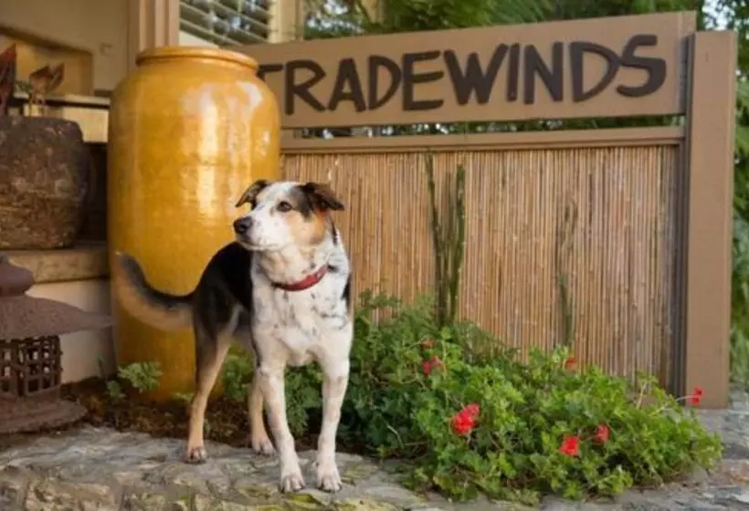 هتل Tradewinds Carmel