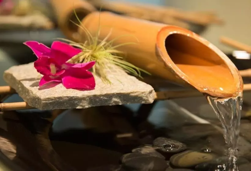 هتل Tradewinds Carmel