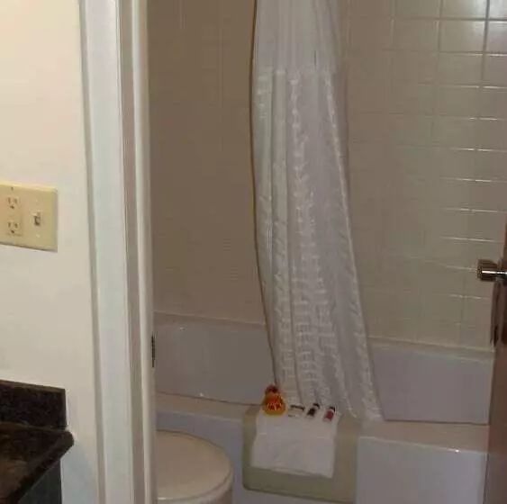 汽车旅馆  Super 8 By Wyndham Salina/scenic Hills Area