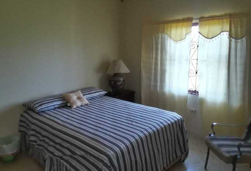 تختخواب و صبحانه The Greenville