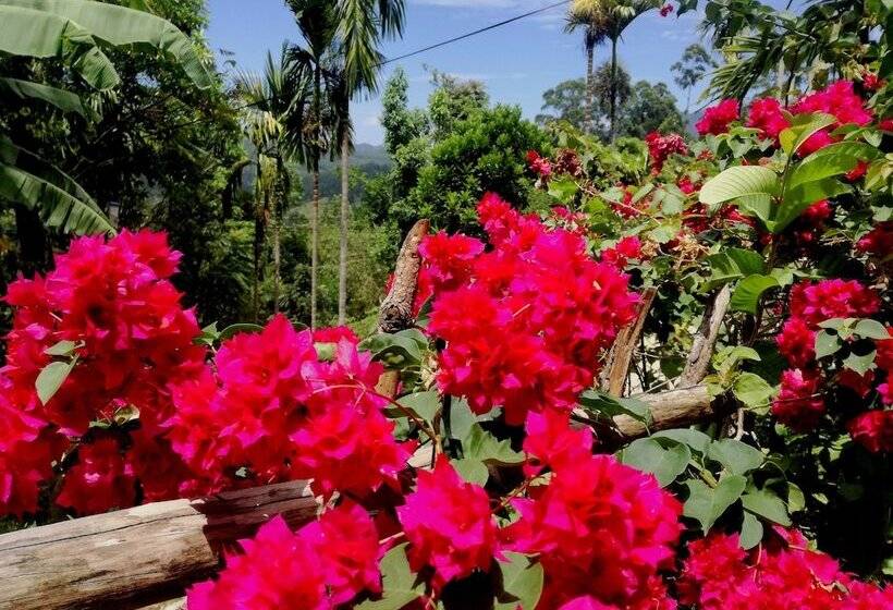 Pensionat The Kanro Ella