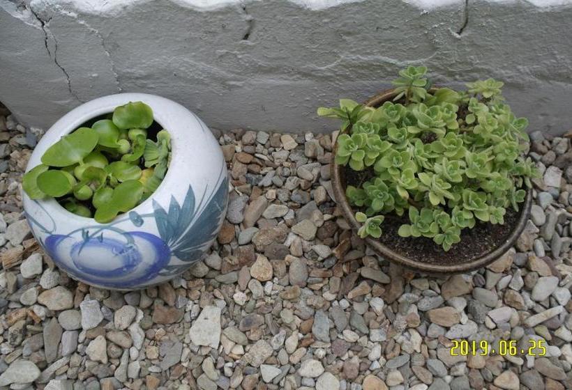 Пансион Joa Guesthouse