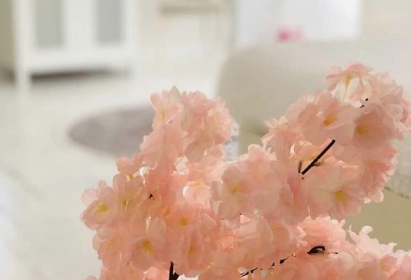 Beyaz Ev Butik Otel Masukiye