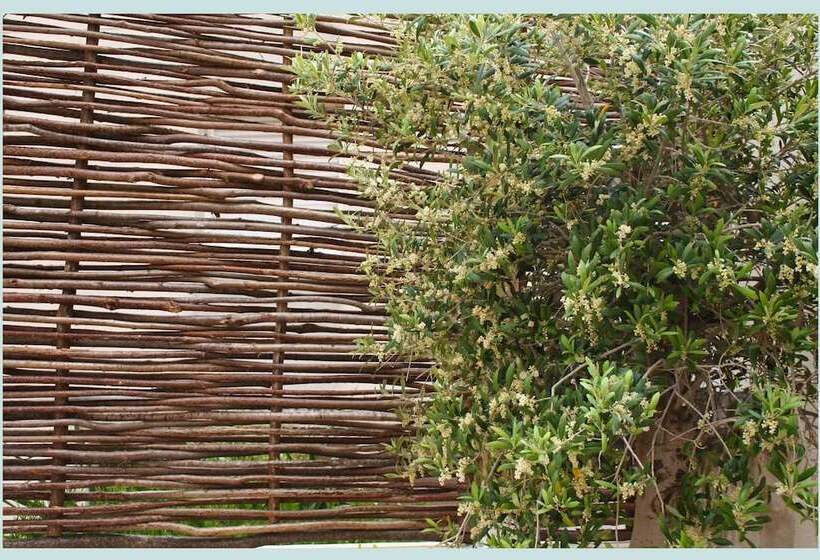 پانسیون De L'anglais, Guesthouse