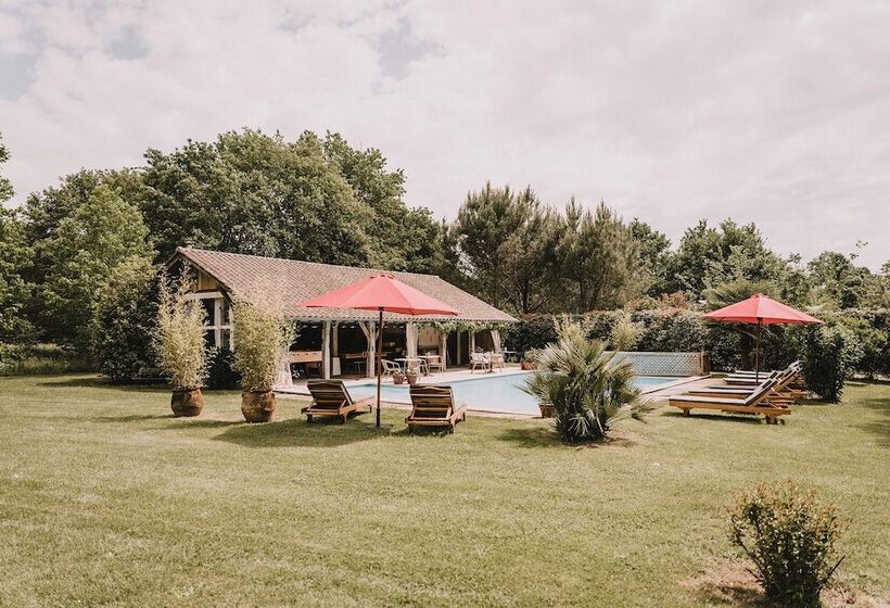 Bed and Breakfast Le Domaine De Petiosse