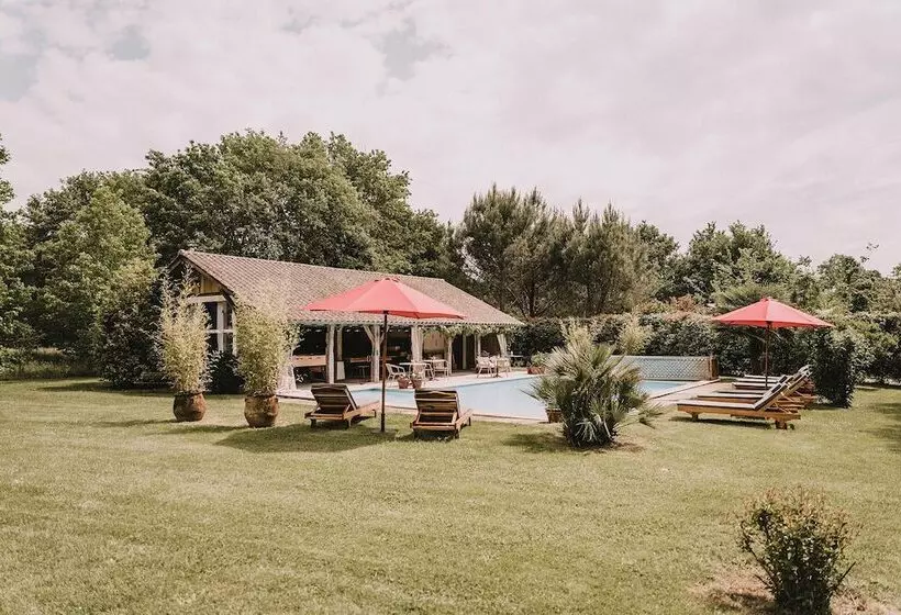 ベッドアンドブレックファースト Le Domaine De Petiosse