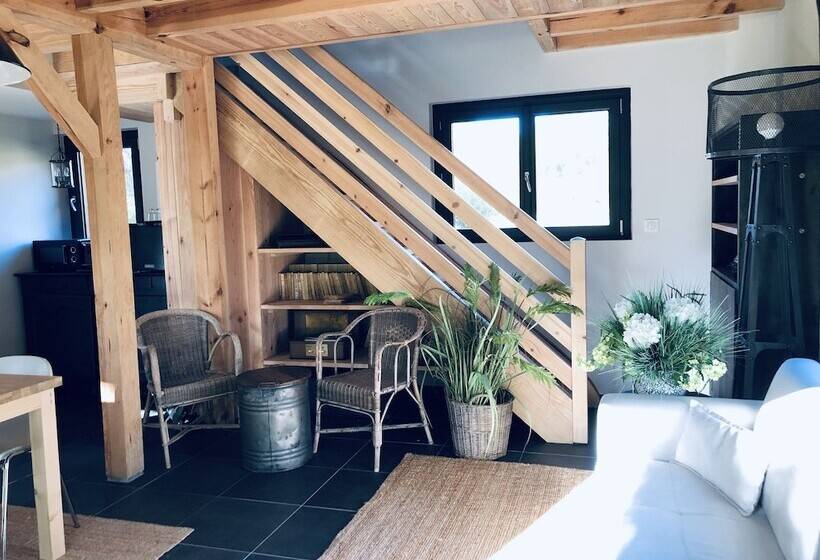 Bed and Breakfast Le Domaine De Petiosse