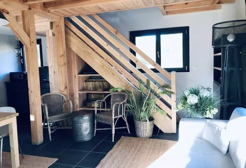 ベッドアンドブレックファースト Le Domaine De Petiosse