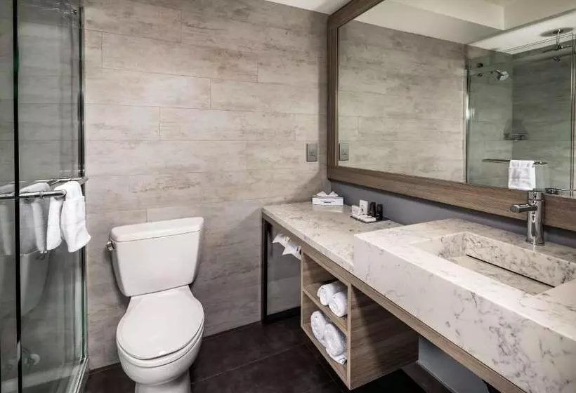 فندق Avenue , Ascend  Collection