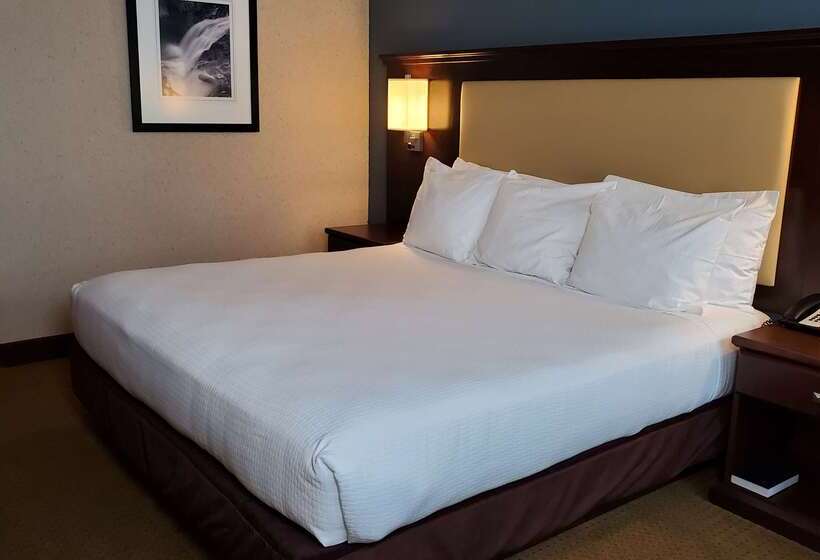 فندق Best Western Plus Coeur D'alene Inn