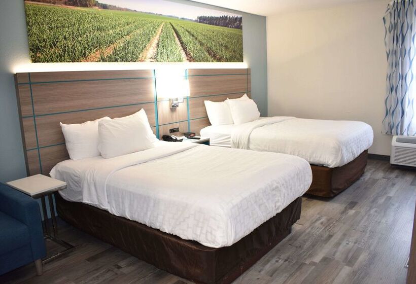 ホテル Clarion Pointe Vidalia Lyons West