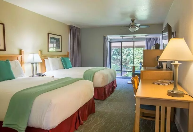 Отель Colton Inn