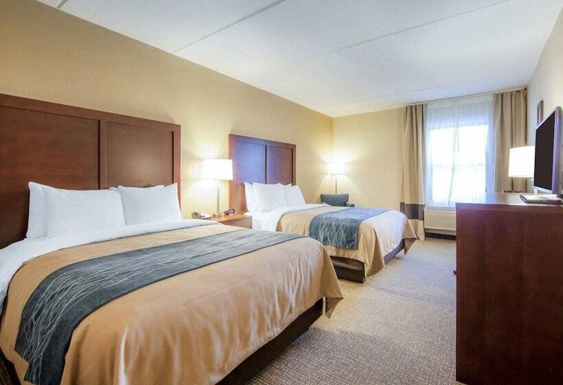 호텔 Comfort Inn At Royal Blue