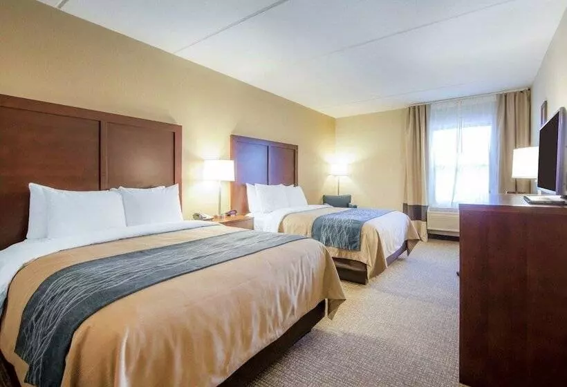 Отель Comfort Inn At Royal Blue