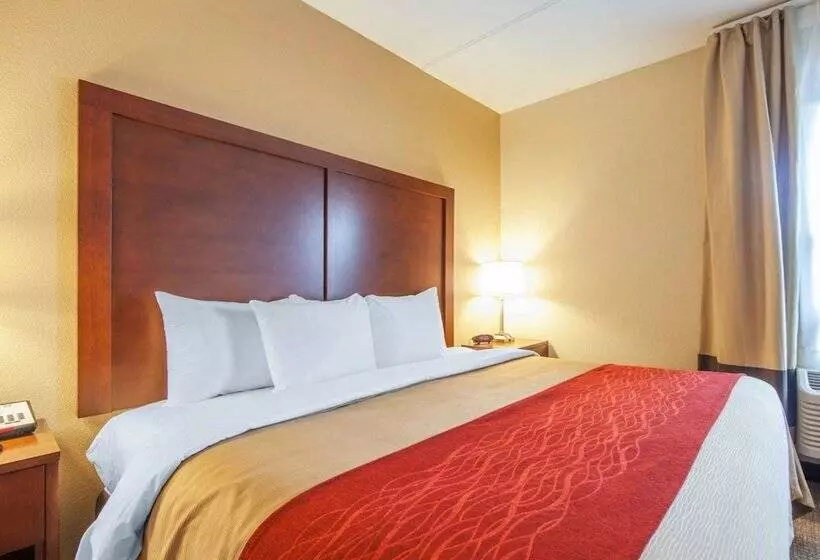 Отель Comfort Inn At Royal Blue