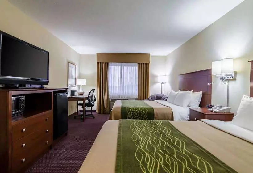 فندق Comfort Inn