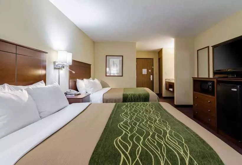 فندق Comfort Inn