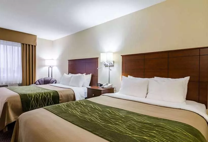 فندق Comfort Inn