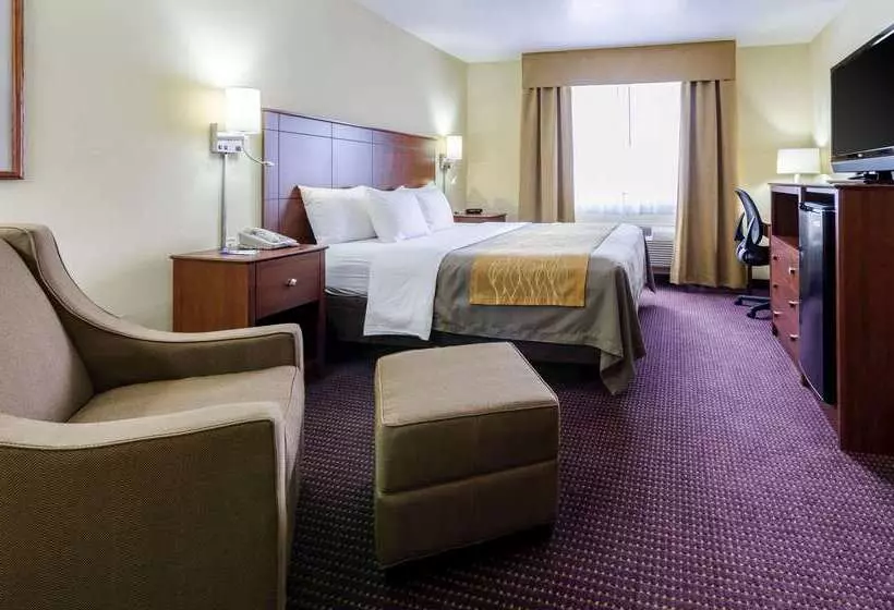 فندق Comfort Inn