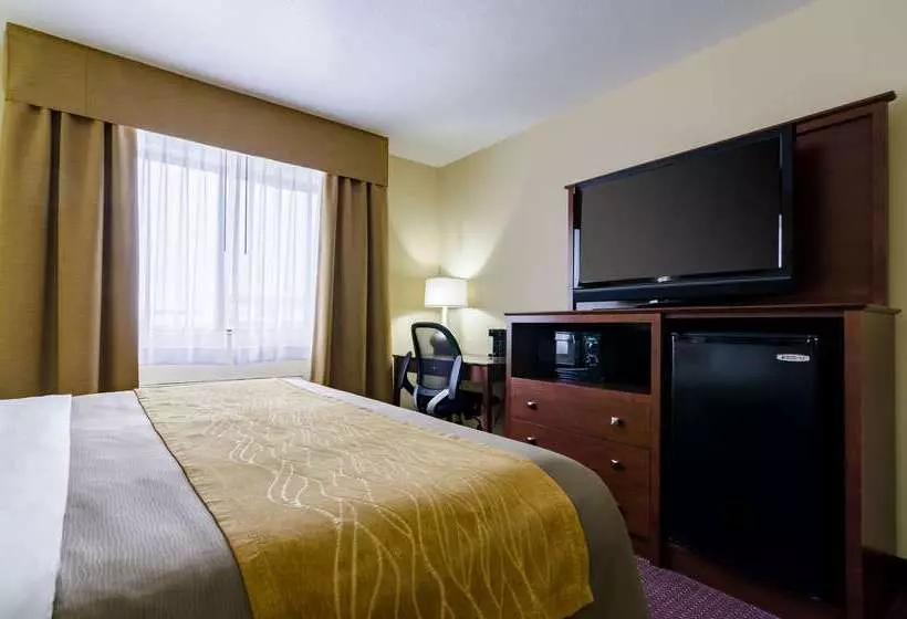 فندق Comfort Inn