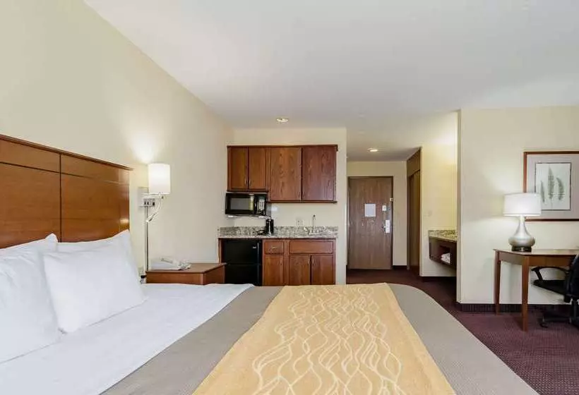 فندق Comfort Inn