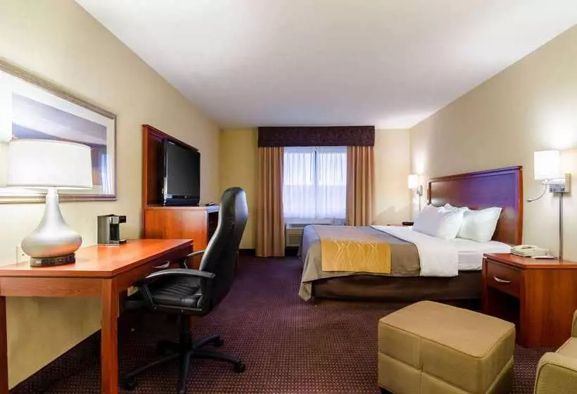 فندق Comfort Inn