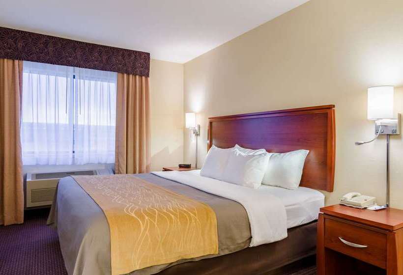 בית מלון כפרי Comfort Inn