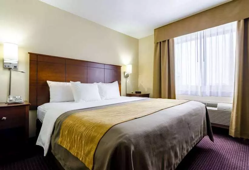 فندق Comfort Inn