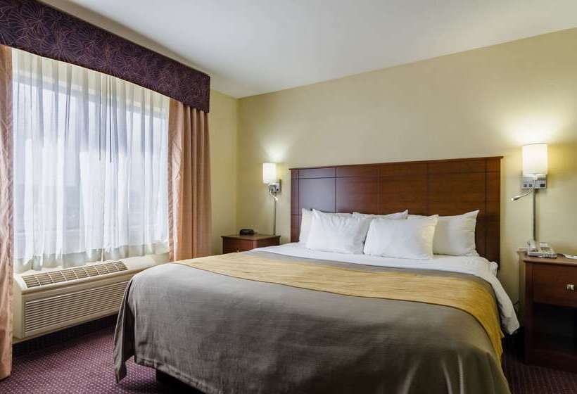 בית מלון כפרי Comfort Inn