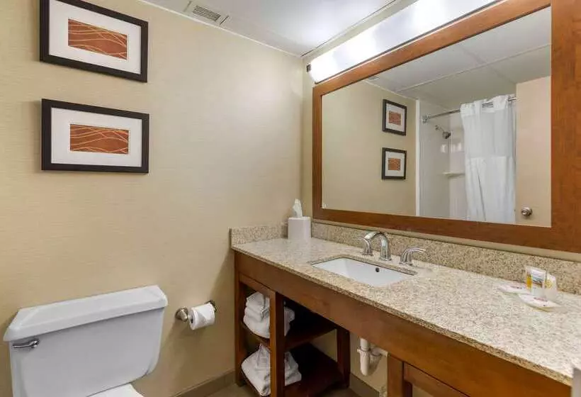 هتل Comfort Inn St. Louis Westport Event Center