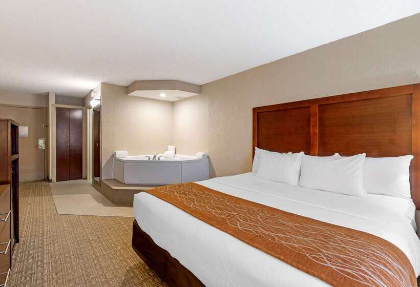 فندق Comfort Inn St. Louis  Westport Event Center