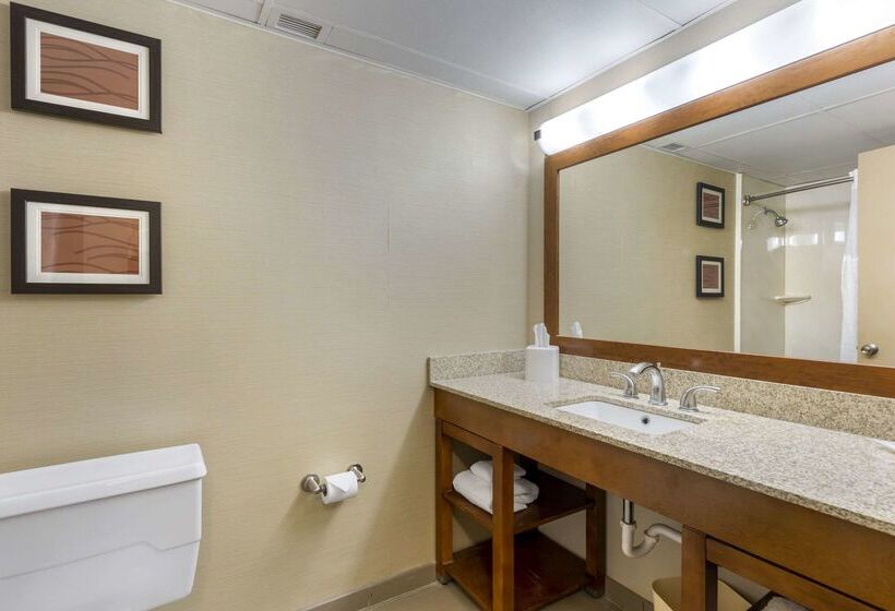 فندق Comfort Inn St. Louis  Westport Event Center