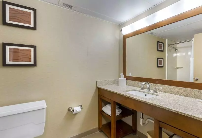 هتل Comfort Inn St. Louis Westport Event Center