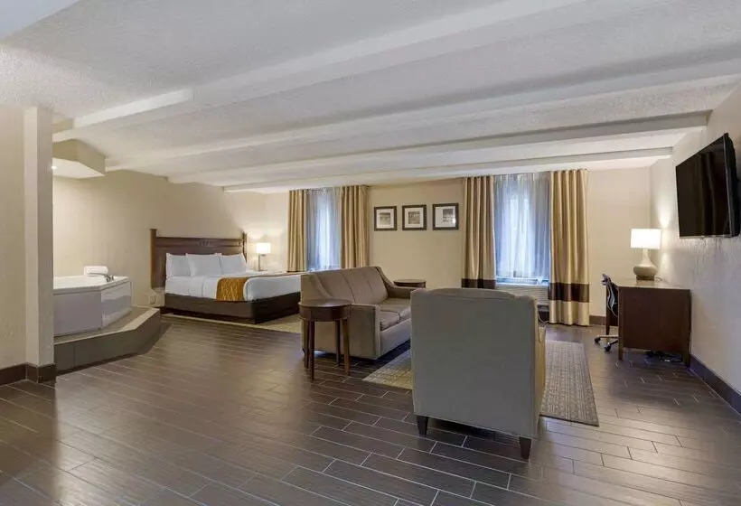 هتل Comfort Inn St. Louis Westport Event Center