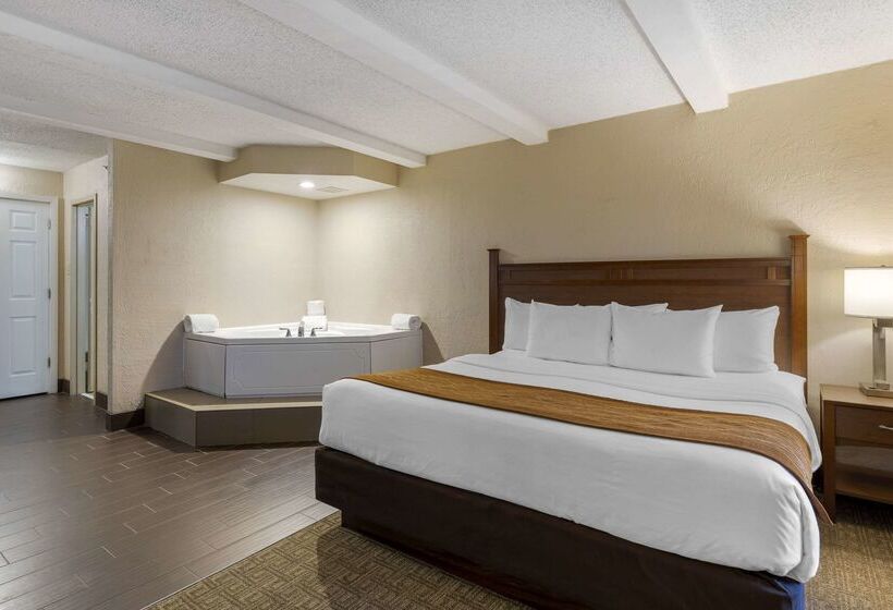 فندق Comfort Inn St. Louis  Westport Event Center