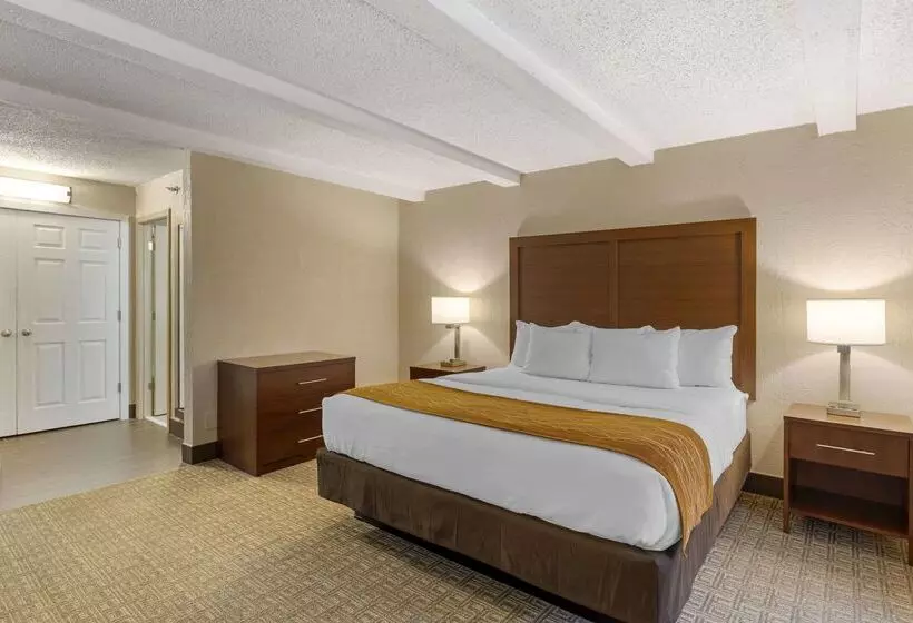 هتل Comfort Inn St. Louis Westport Event Center