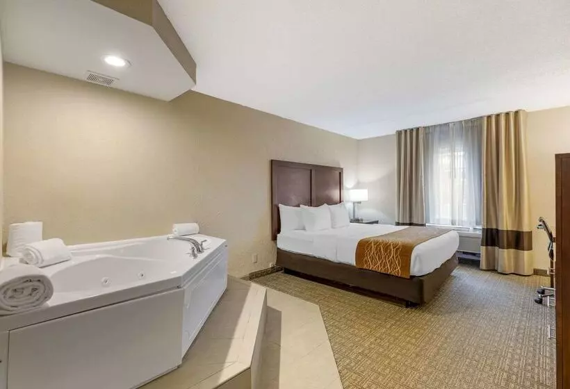 هتل Comfort Inn St. Louis Westport Event Center