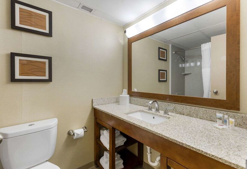 فندق Comfort Inn St. Louis  Westport Event Center